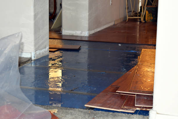 Professional Basement Flood Cleanup technician working in Hurley, MS